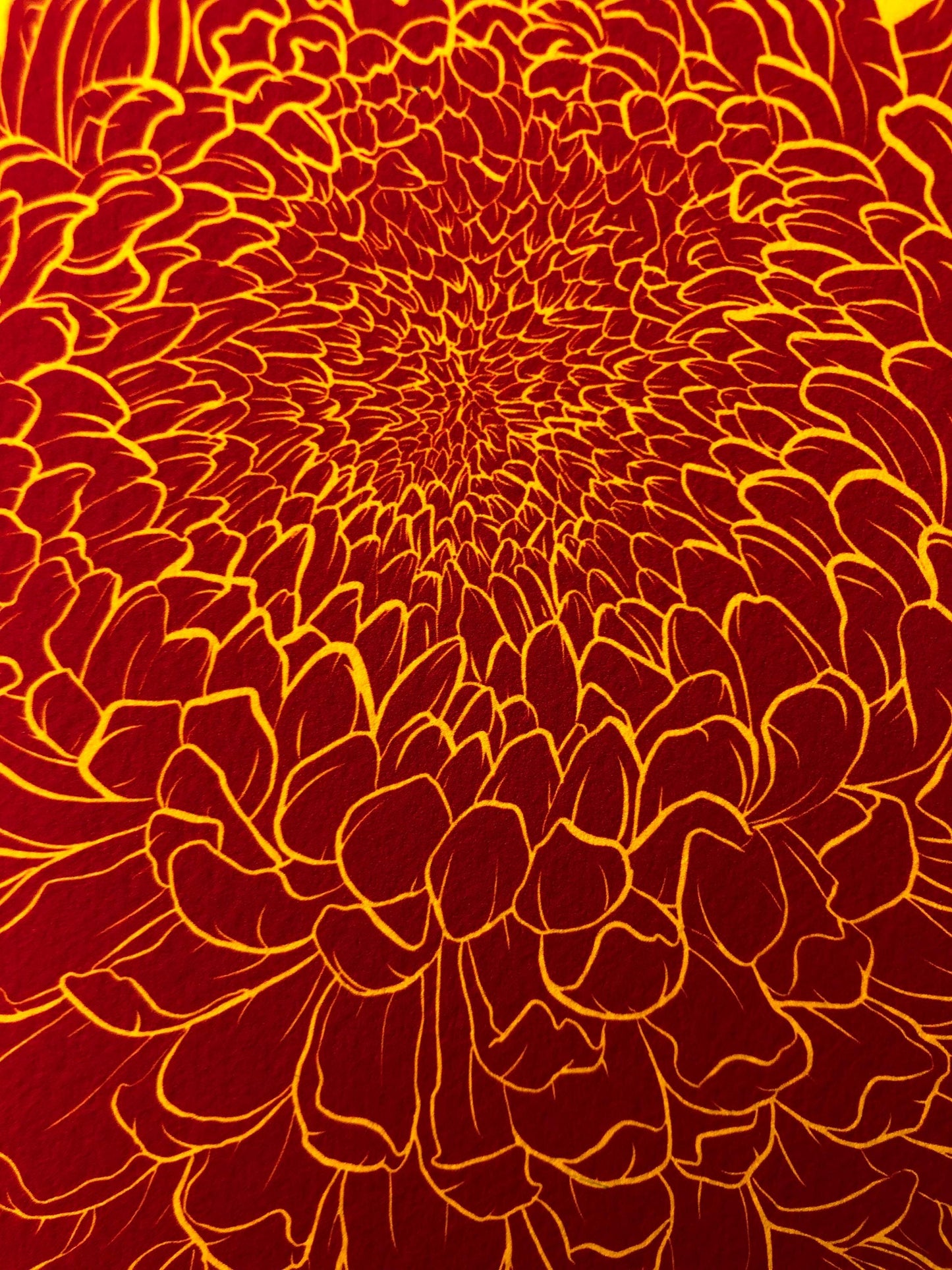Chrysanthemum - November Flower Ladies Museum Grade Print - 8x10"