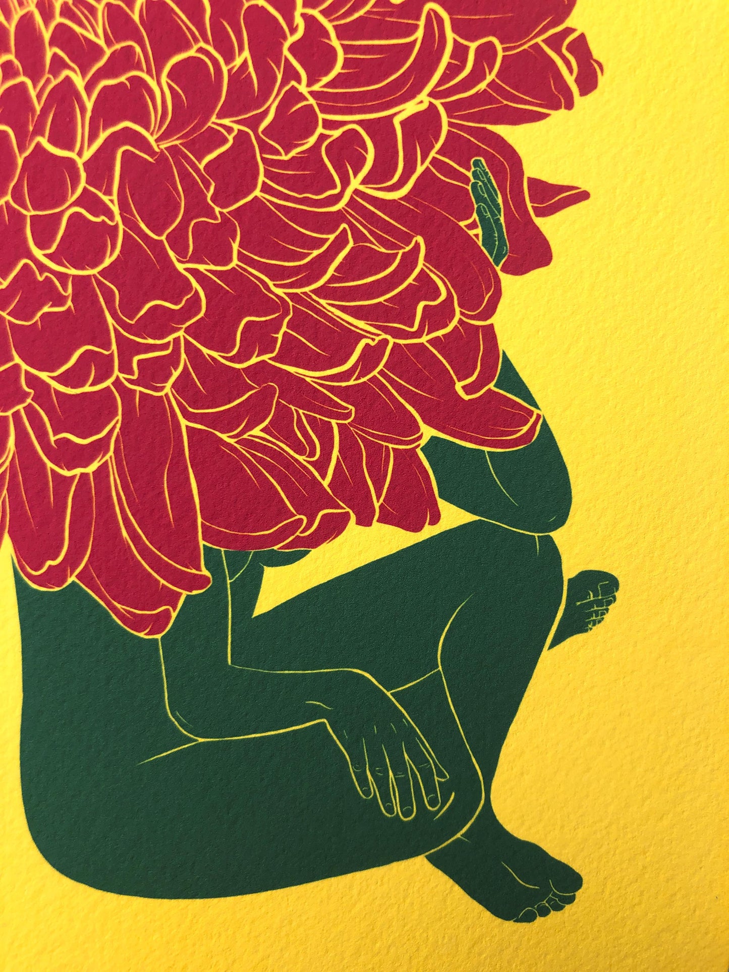 Chrysanthemum - November Flower Ladies Museum Grade Print - 8x10"