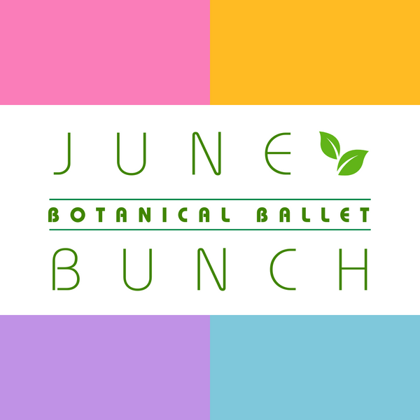 June Bunch Studio
