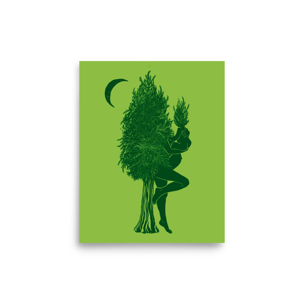 Redwood Mother Tree with Baby Sprout Museum Grade Print - 8x10"